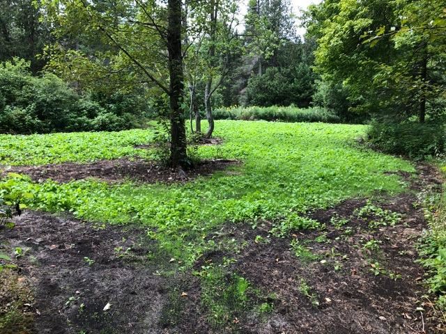 5436 E Gill Road Carp Lake MI 49718