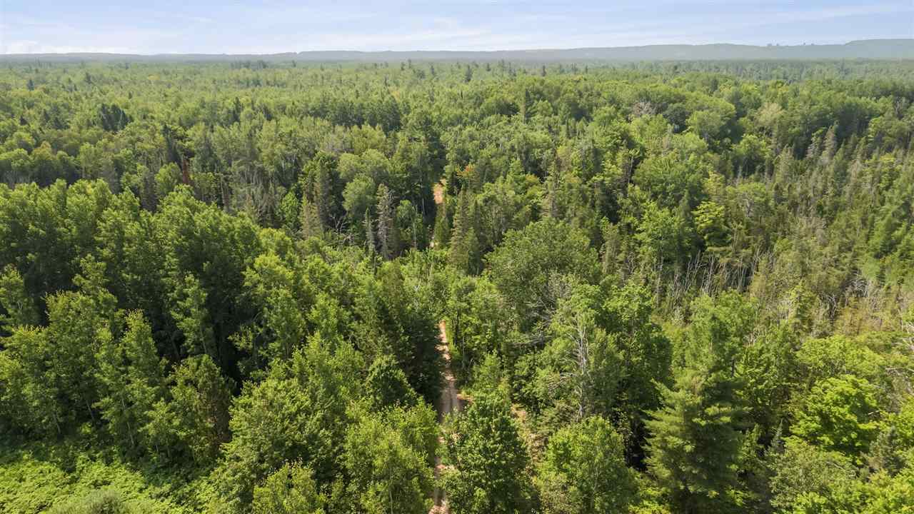 5436 E Gill Road Carp Lake MI 49718