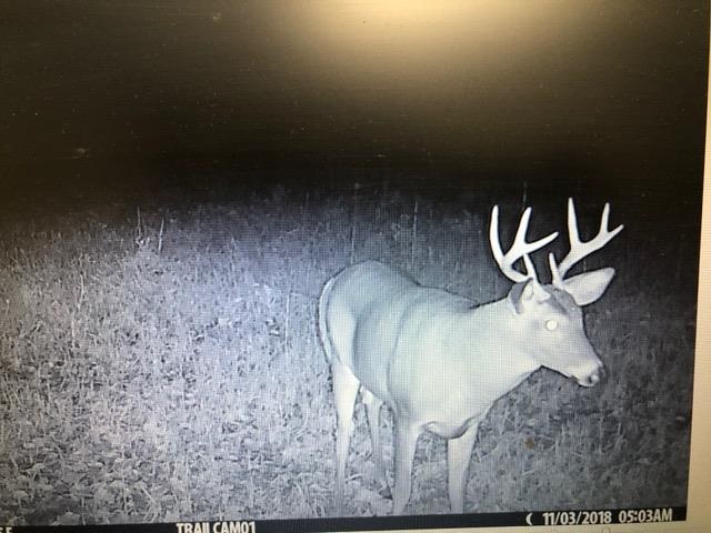 5436 E Gill Road Carp Lake MI 49718