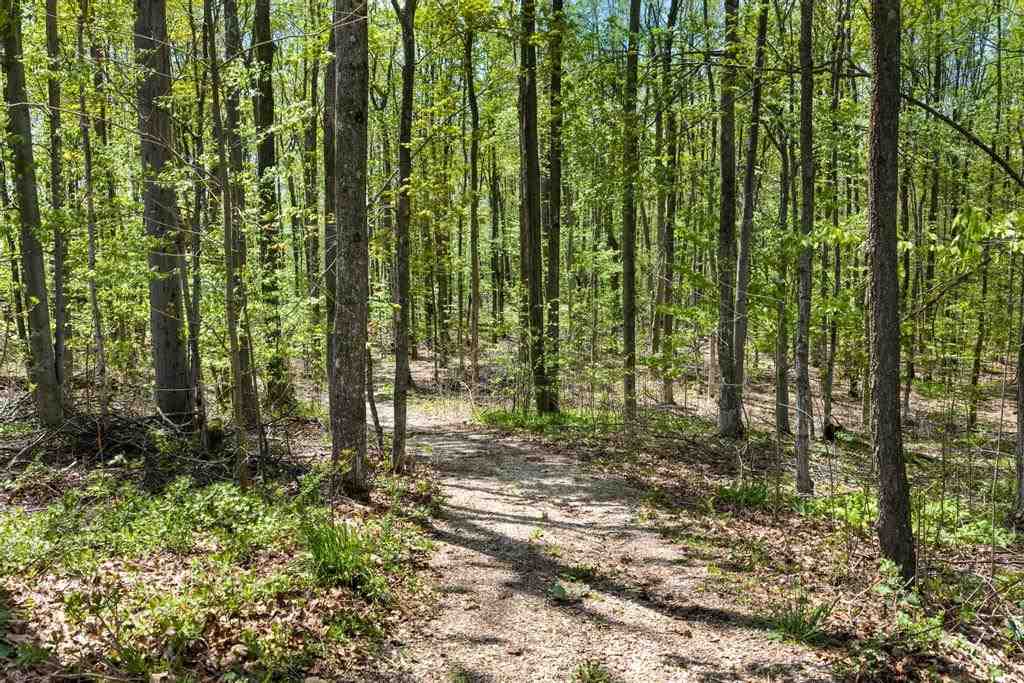 1396 Blackbird Road Petoskey MI 49770