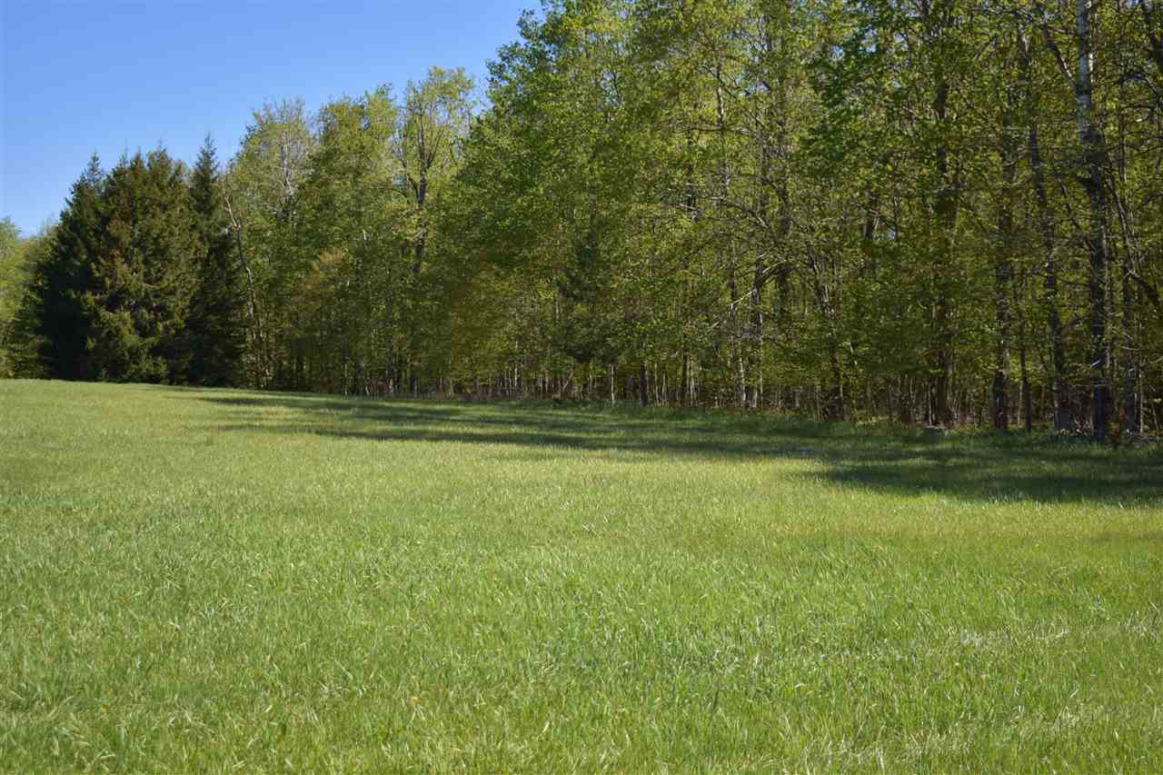 1396 Blackbird Road Petoskey MI 49770