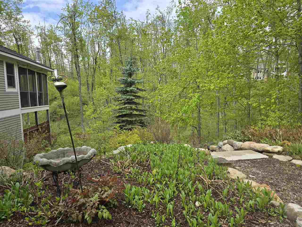 4563 Stoney Hill Court Harbor Springs MI 49740