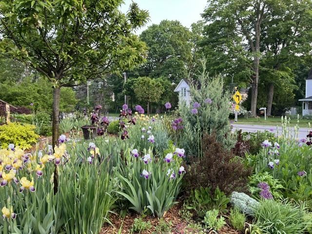 108 Petoskey Avenue Charlevoix MI 49720