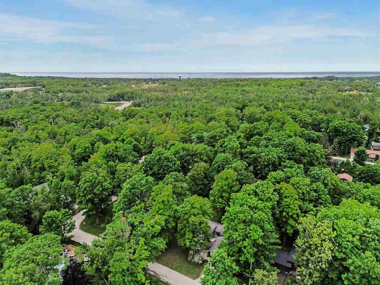 12593 Fern Place Charlevoix MI 49720