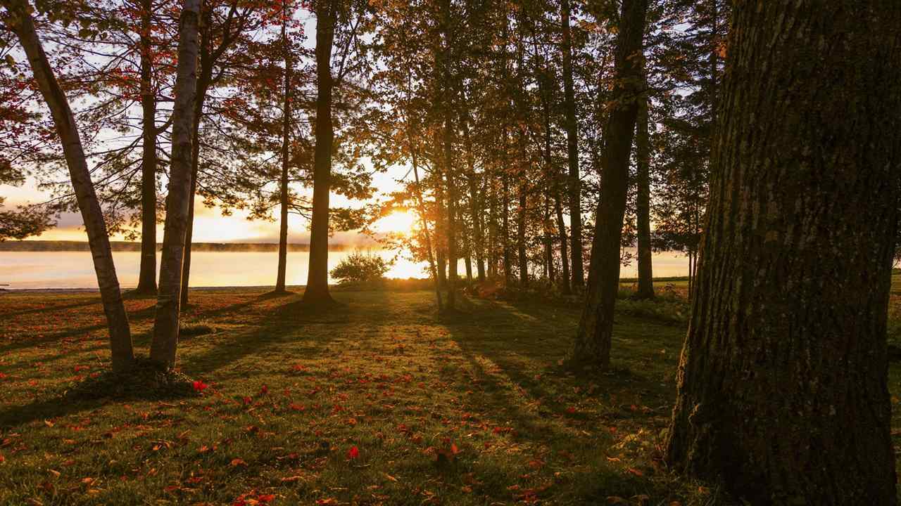 1442 Indian Point Road Brutus MI 49716