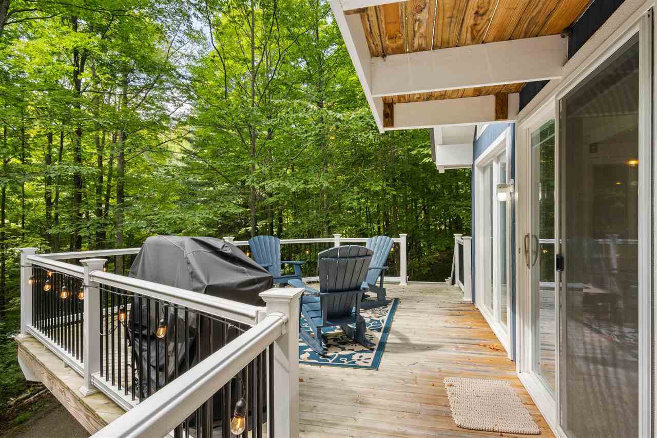 6631 Wasservalden Strasse Bellaire MI 49615