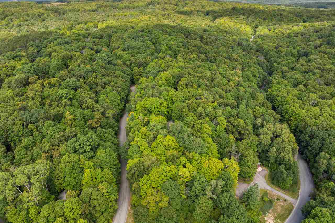 6631 Wasservalden Strasse Bellaire MI 49615