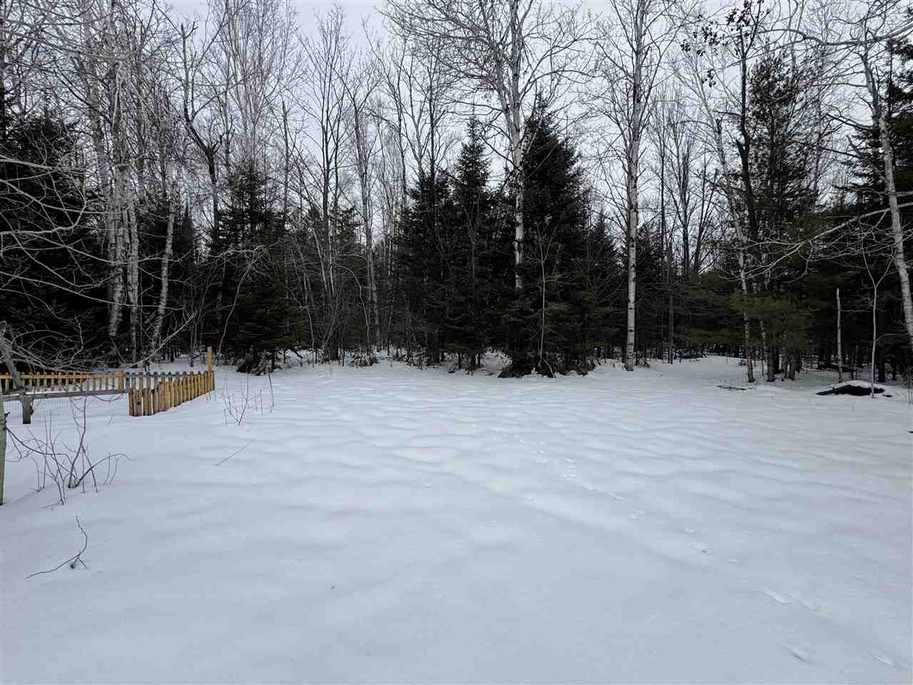 2288 Riggsville Road Cheboygan MI 49721