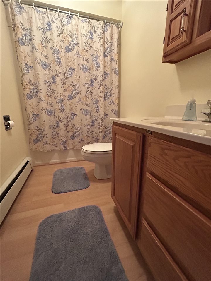 6737 Honeysette Road Street Alanson MI 49706