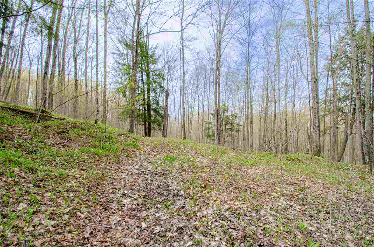4839 Bunker Hill Road Central Lake MI 49622