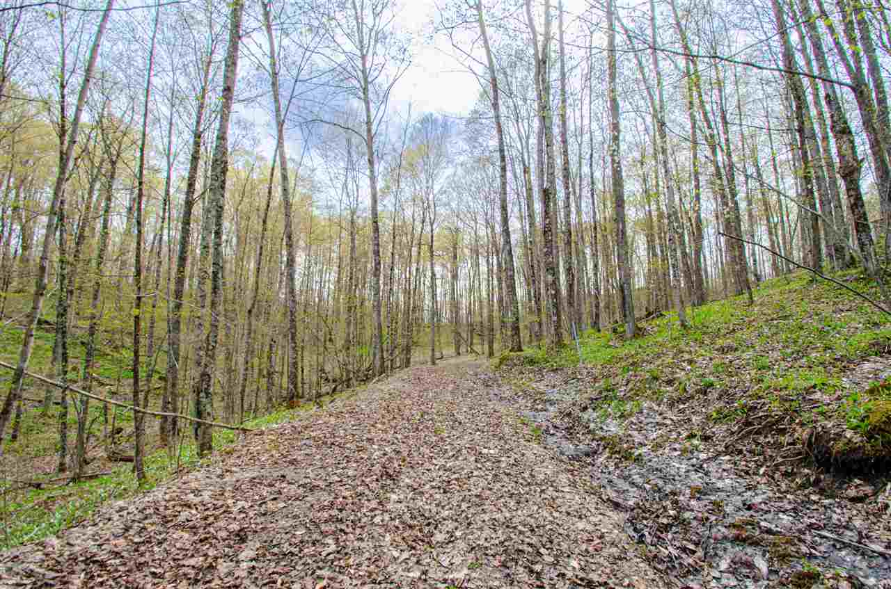 4839 Bunker Hill Road Central Lake MI 49622