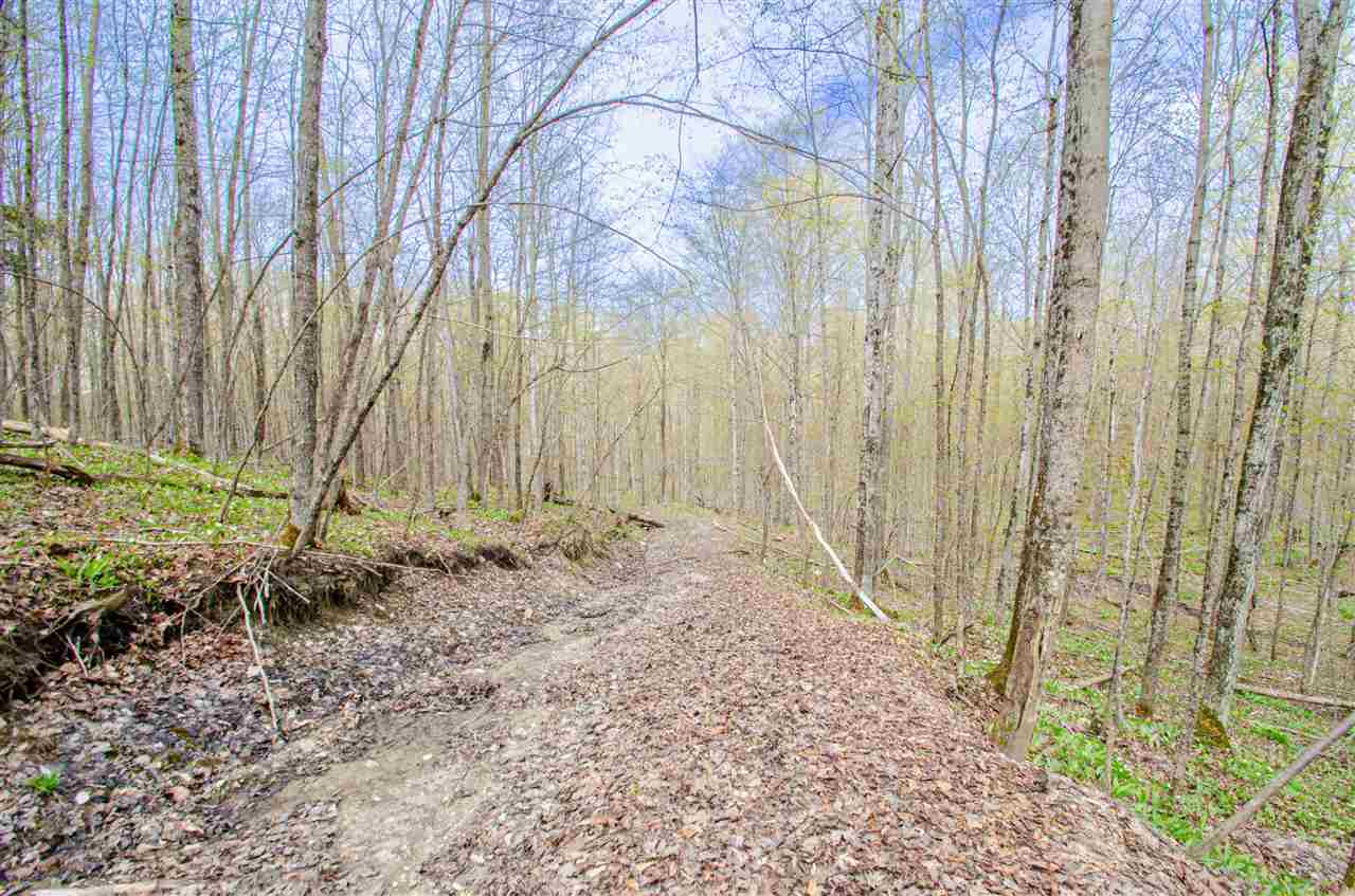 4839 Bunker Hill Road Central Lake MI 49622