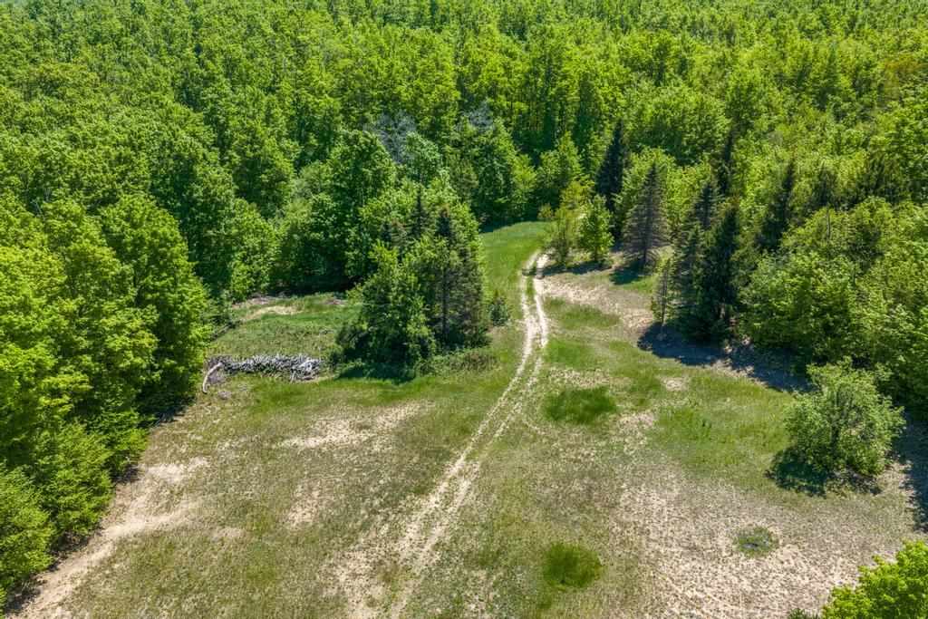 11110 Wildwood Road Petoskey MI 49770