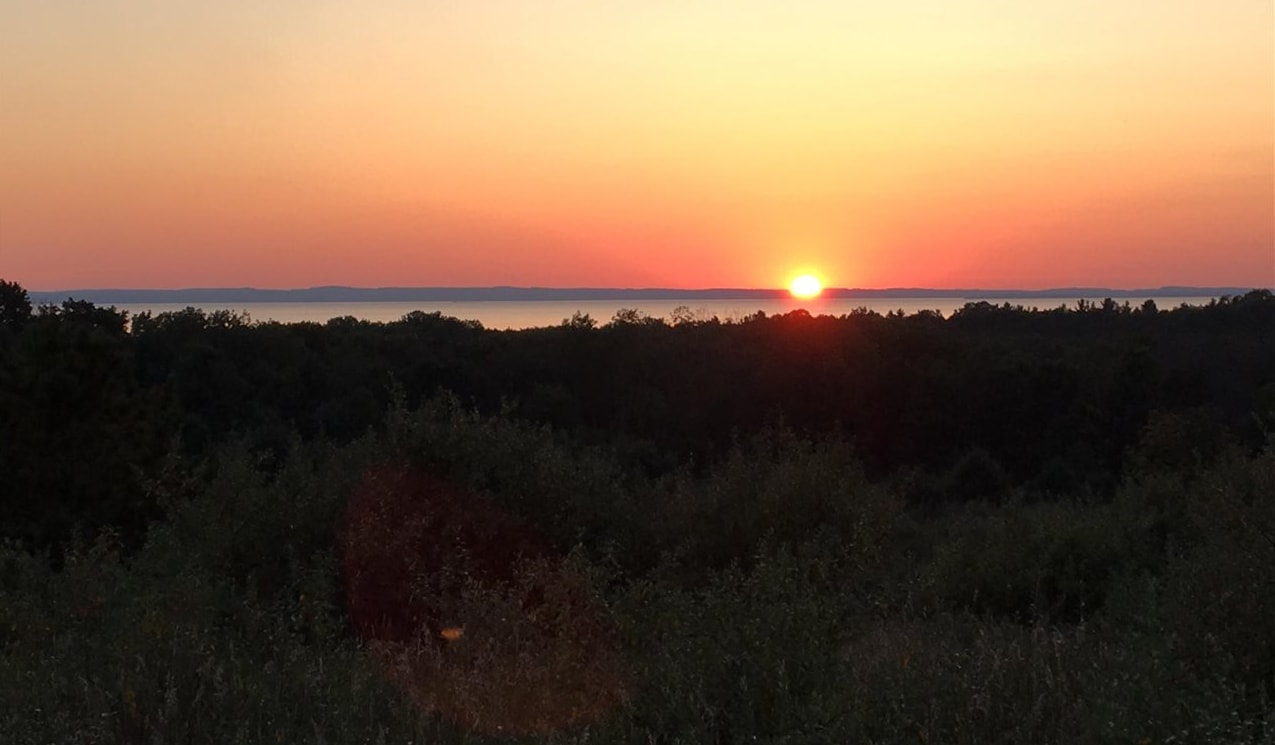 5815 Farrell Road Central Lake MI 49622