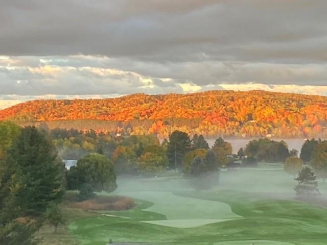 1022 Ridgeline Drive Boyne City MI 49712