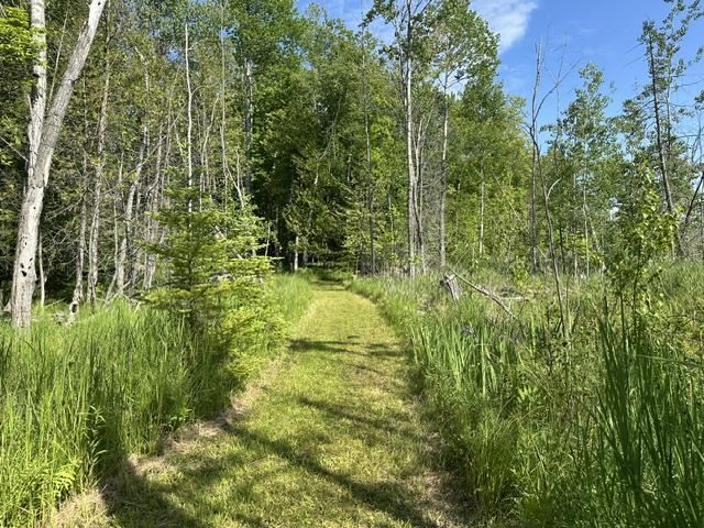 08015 Mulberry Lane Charlevoix MI 49720