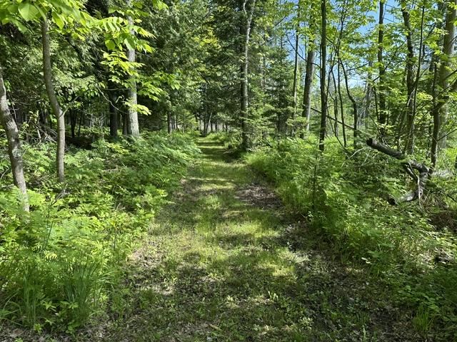 08015 Mulberry Lane Charlevoix MI 49720