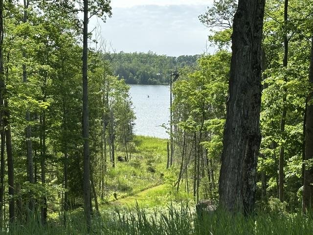 08015 Mulberry Lane Charlevoix MI 49720