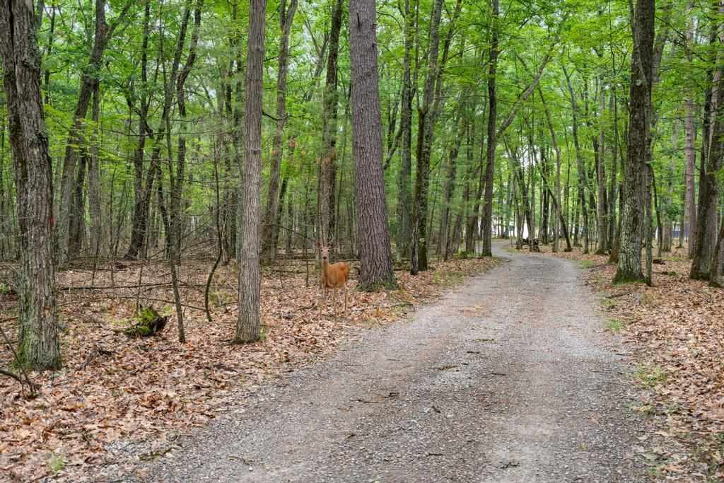 333 Kenwood Avenue Roscommon MI 48653