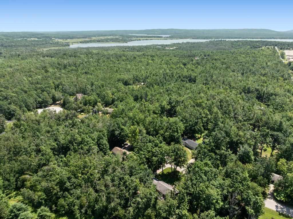 5295 Old Stagecoach Drive Alanson MI 49706