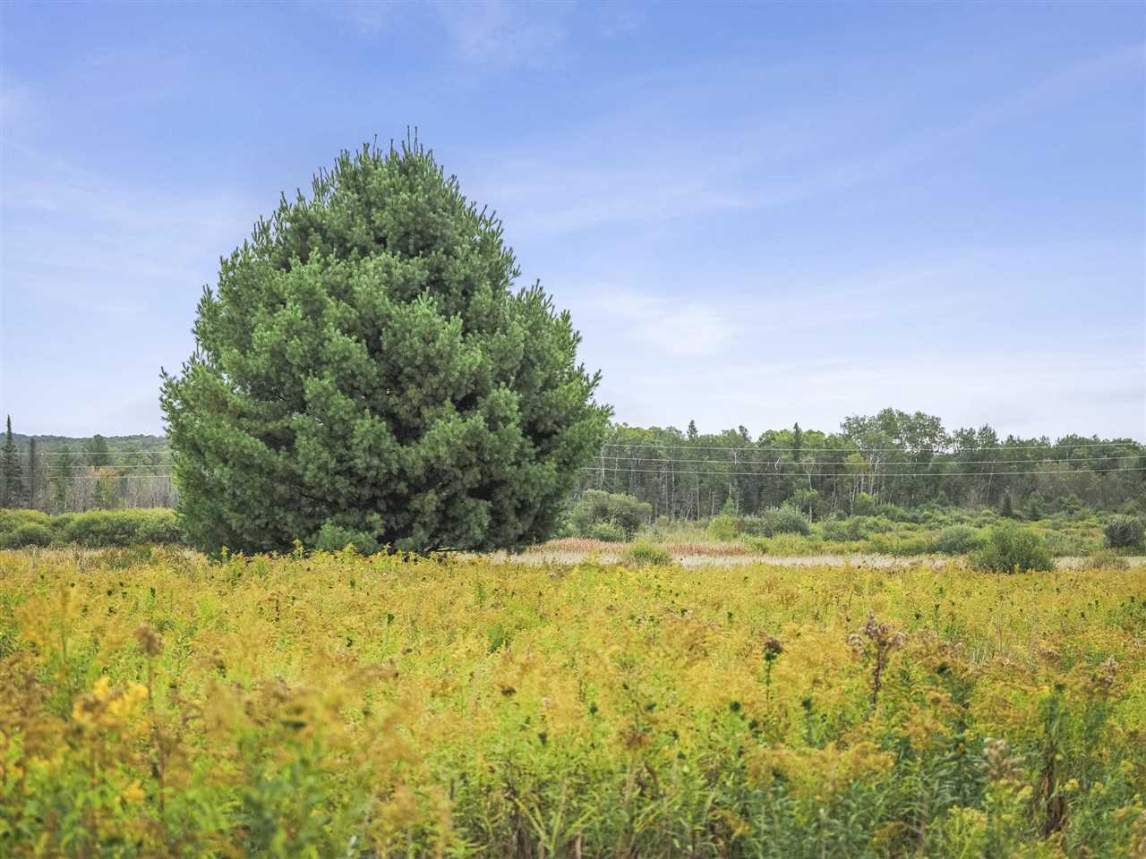 2322 N M-66 Highway East Jordan MI 49727