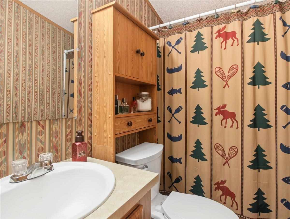6691 Boone Lane Vanderbilt MI 49795