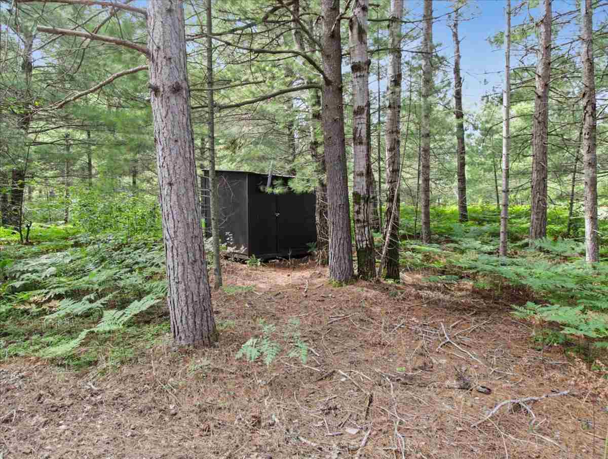 6691 Boone Lane Vanderbilt MI 49795