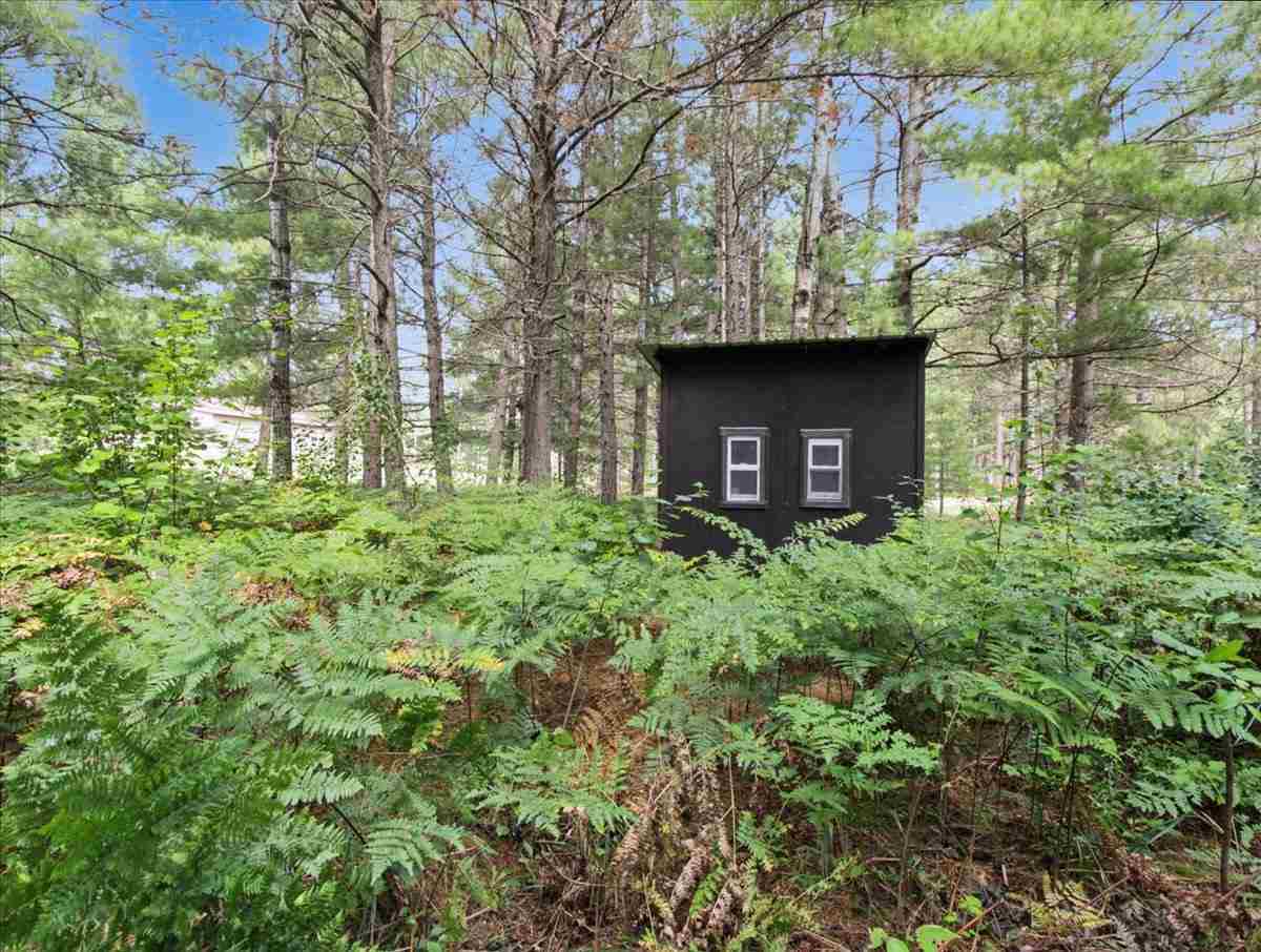 6691 Boone Lane Vanderbilt MI 49795