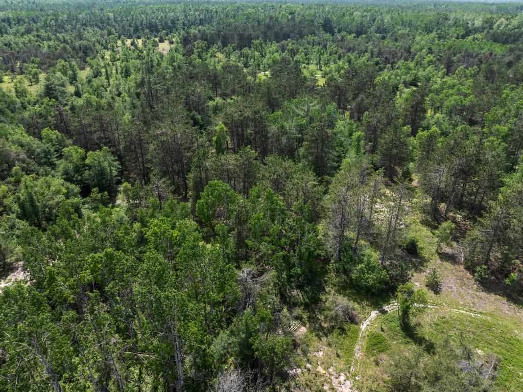 8292 Dudd Road Vanderbilt MI 49795