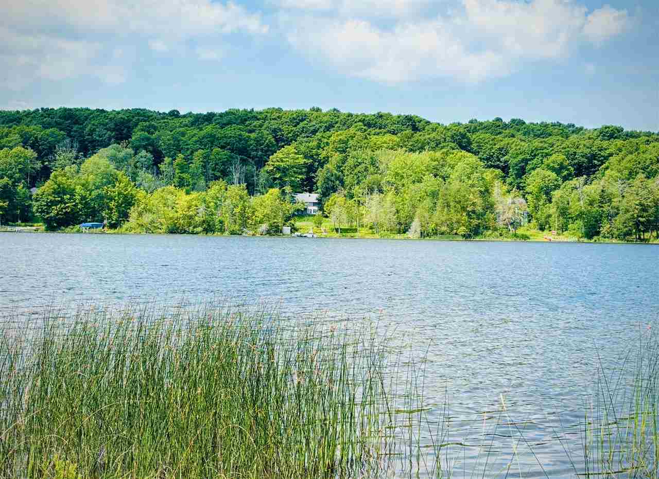 4859 Rushton Road Central Lake MI 49622