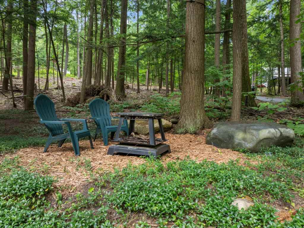 4497 Fourth Street Walloon Lake MI 49796