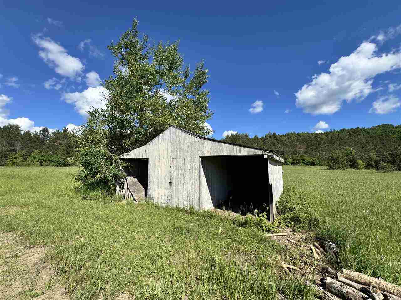 9674 Springvale Road Boyne Falls MI 49713