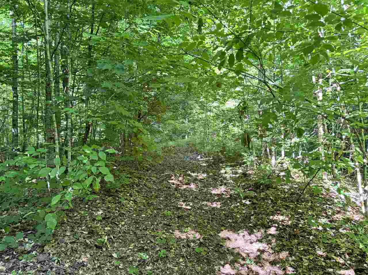 9674 Springvale Road Boyne Falls MI 49713
