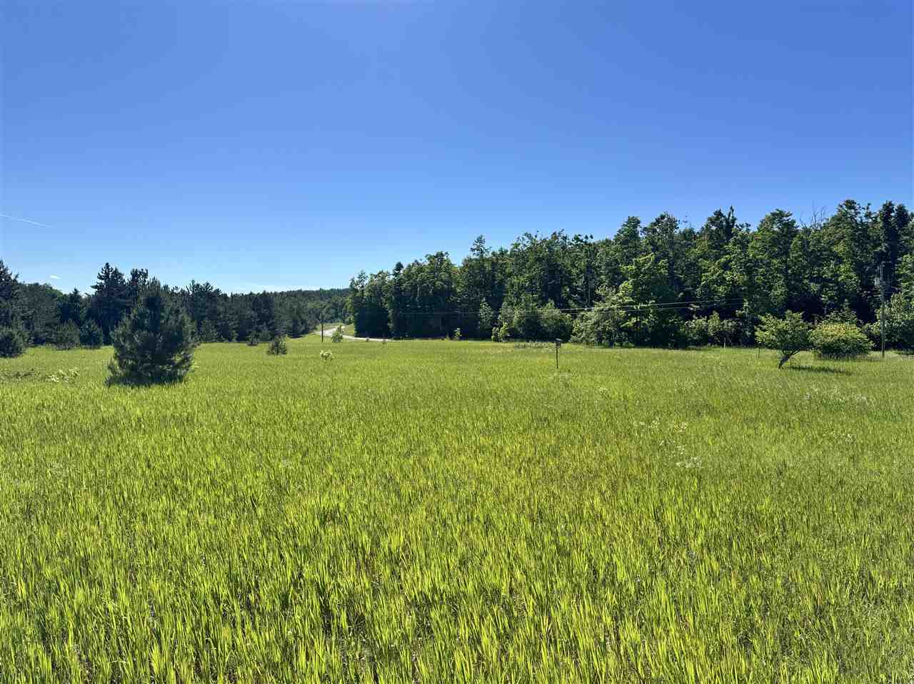 9674 Springvale Road Boyne Falls MI 49713
