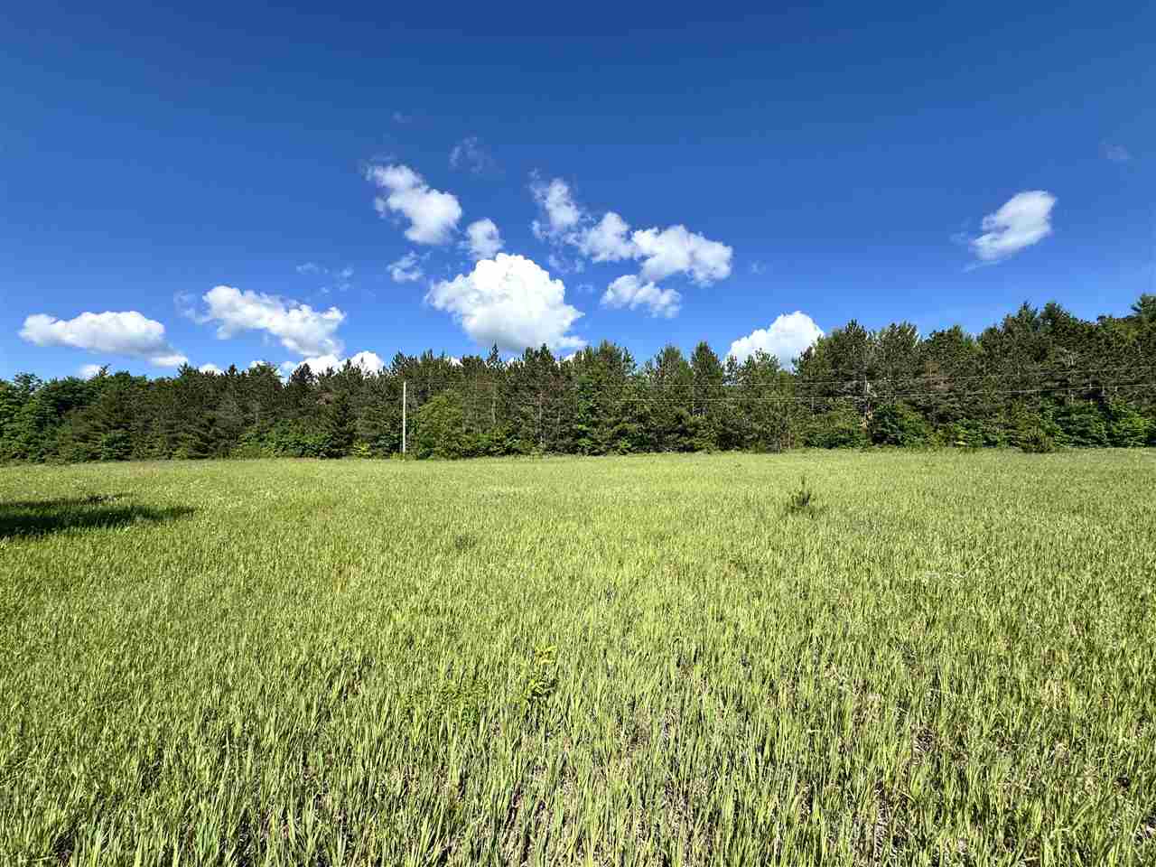 9674 Springvale Road Boyne Falls MI 49713