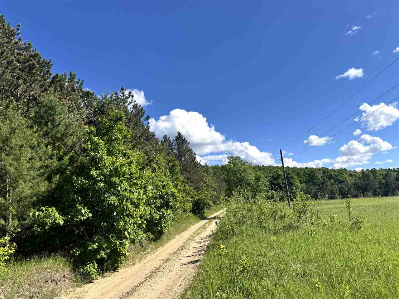 9674 Springvale Road Boyne Falls MI 49713