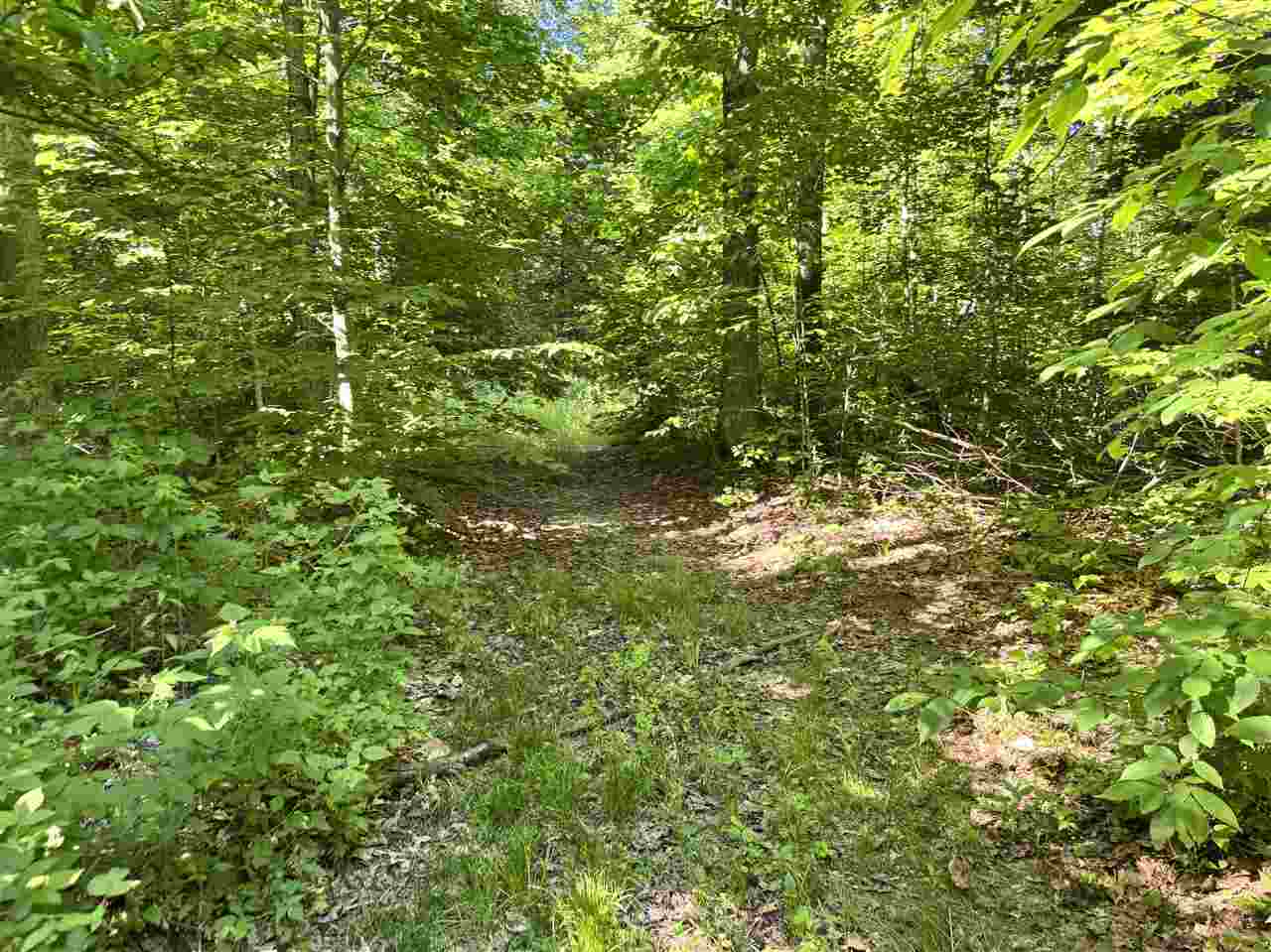 9674 Springvale Road Boyne Falls MI 49713
