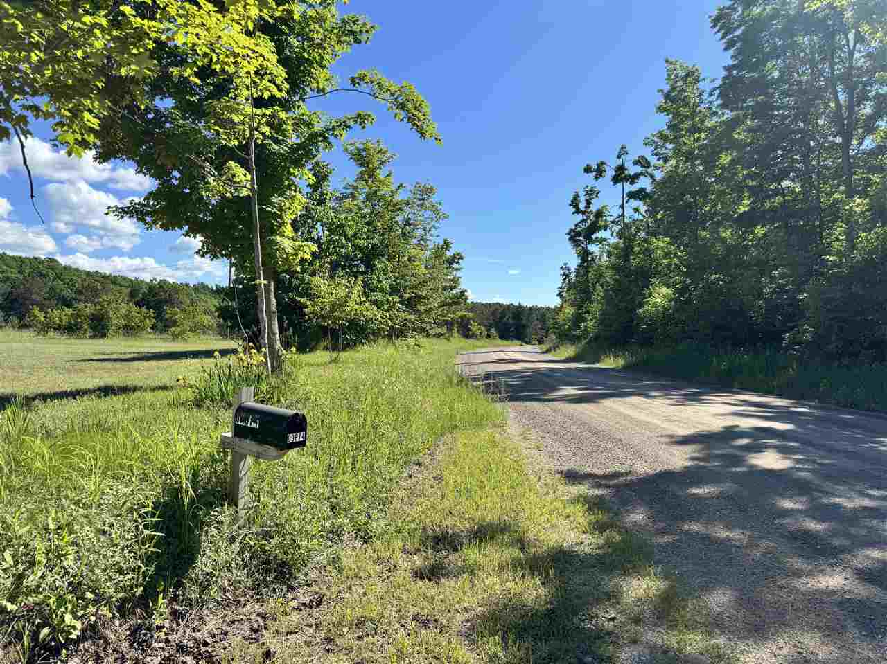 9674 Springvale Road Boyne Falls MI 49713