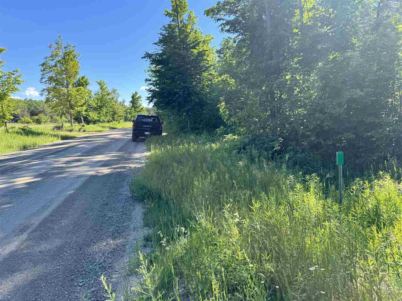 9674 Springvale Road Boyne Falls MI 49713