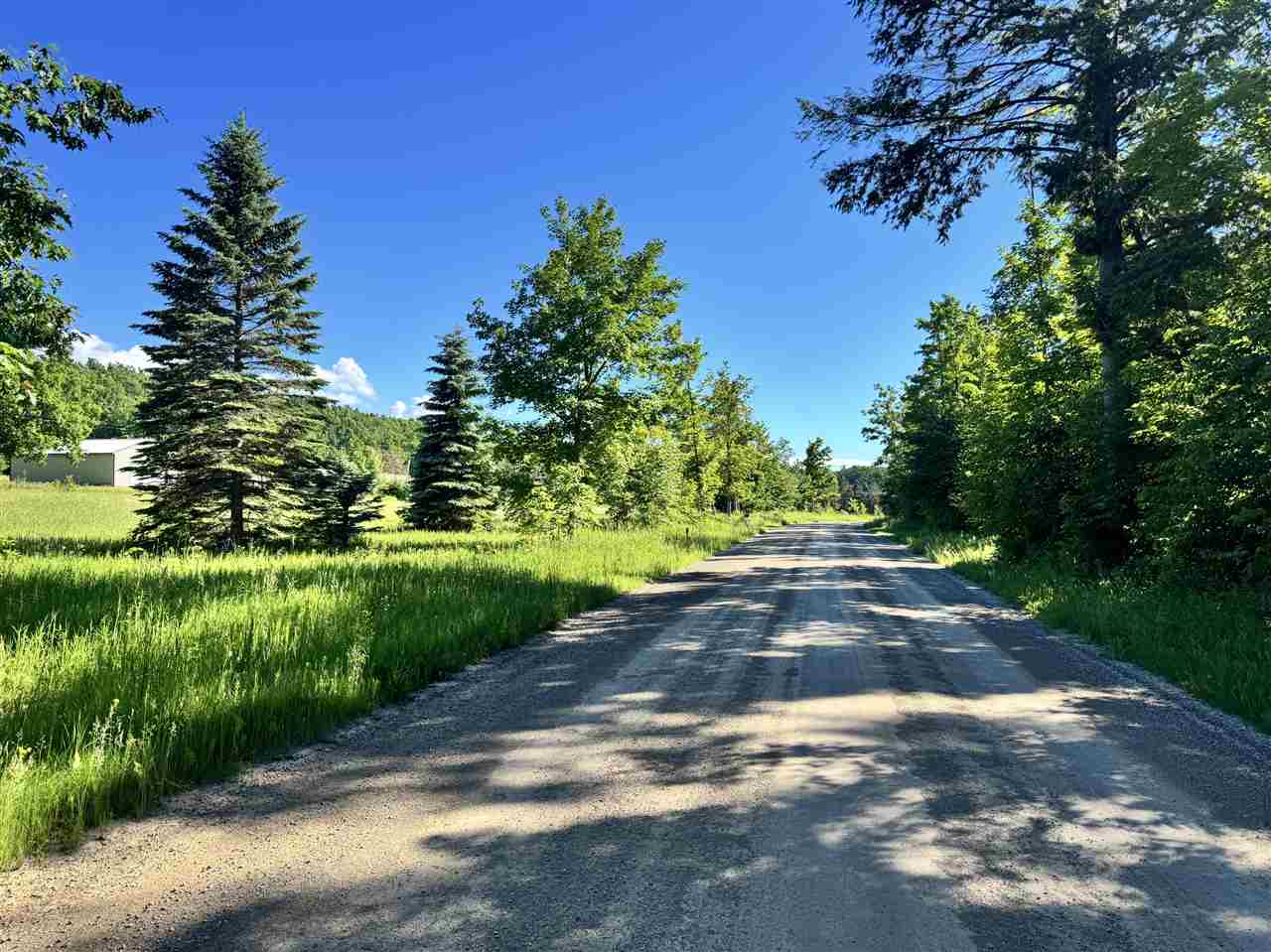 9674 Springvale Road Boyne Falls MI 49713