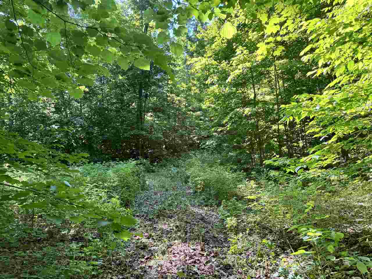 9674 Springvale Road Boyne Falls MI 49713