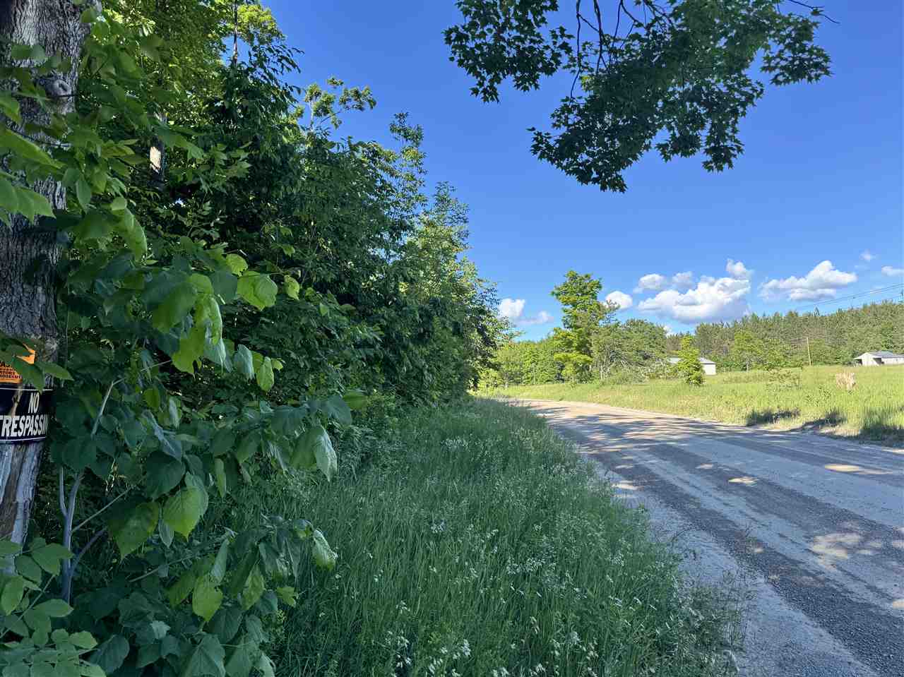 9674 Springvale Road Boyne Falls MI 49713