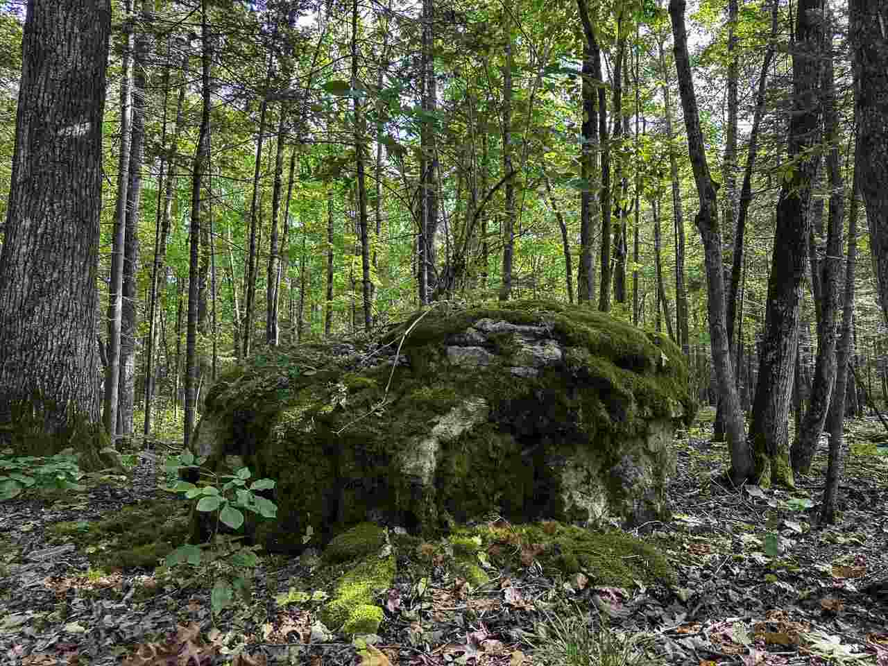 30235 Greene's Bay Drive Beaver Island MI 49782