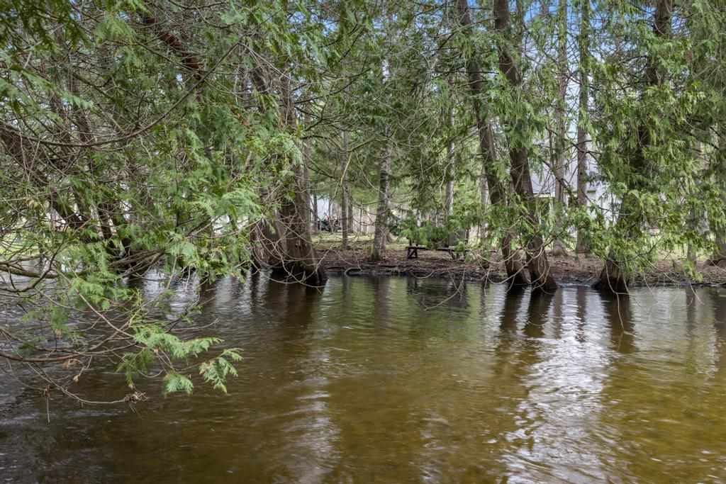 7968 Tabor Trail Wolverine MI 49799