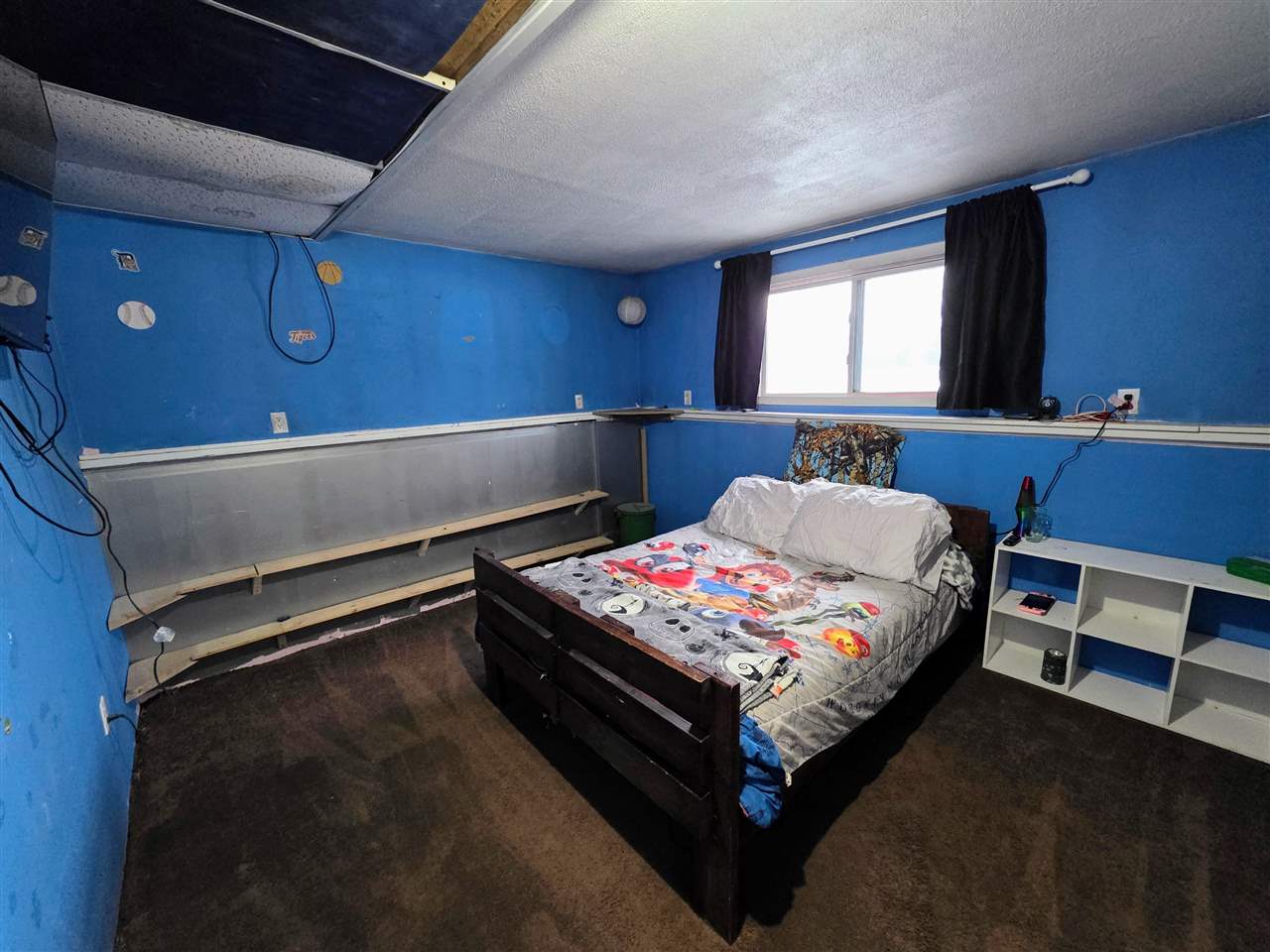 7028 Barney Road Alanson MI 49706