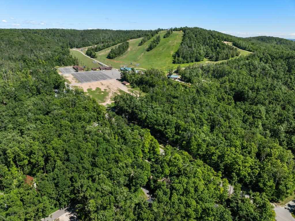 5341 Tyrol Lane Harbor Springs MI 49740