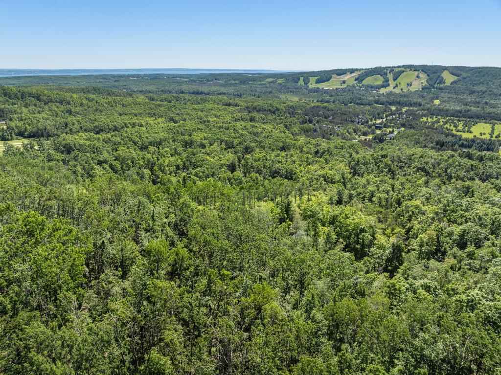 5341 Tyrol Lane Harbor Springs MI 49740