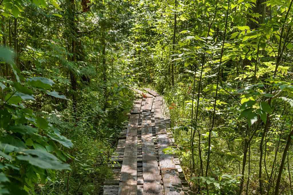 8970 Paradise Trail Carp Lake MI 49718
