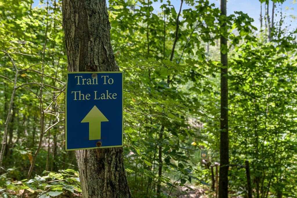 8970 Paradise Trail Carp Lake MI 49718