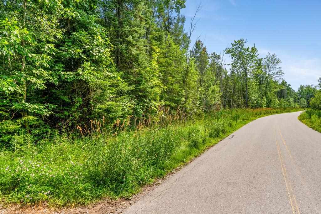 1530 N Wahbee Avenue Indian River MI 49749
